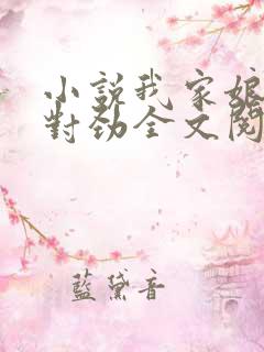 小说我家娘子不对劲全文阅读免费