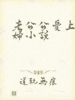 老公公爱上儿媳妇小说