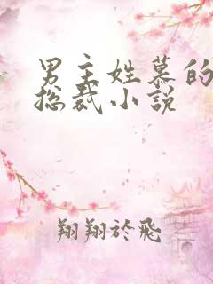 男主姓慕的所有总裁小说