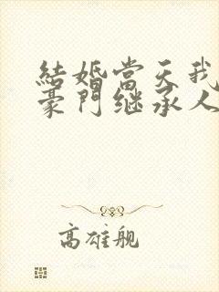 结婚当天我成了豪门继承人短剧免费在线观看