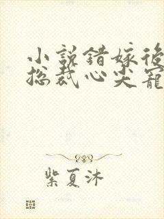 小说错嫁后成了总裁心尖宠