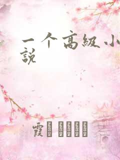 一个高级小姐小说