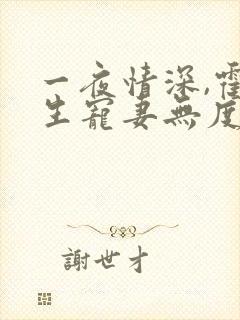 一夜情深,霍先生宠妻无度全书