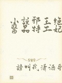 小说邪王绝宠:医品特工妃大结局