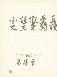 小说假爱真做全文免费阅读