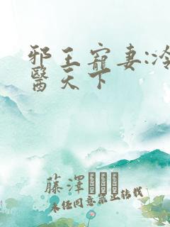 邪王宠妻:冷妃医天下