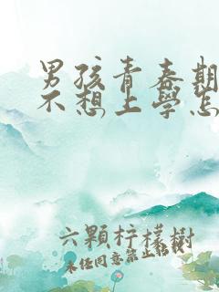 男孩青春期叛逆不想上学怎么办