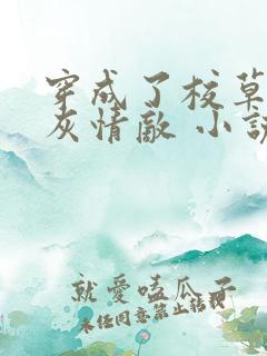 穿成了校草的炮灰情敌 小说