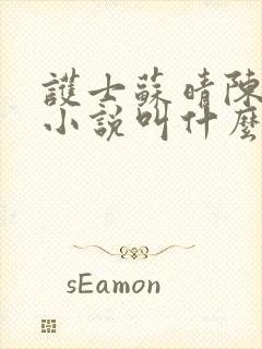 护士苏晴陈婷的小说叫什么名字