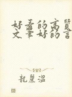 好看的高质量的文笔好的言情