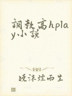 调教高hplay小说