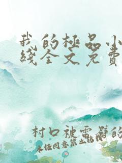 我的极品小姨在线全文免费阅读