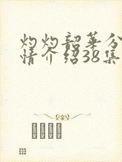 灼灼韶华分集剧情介绍38集