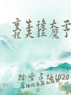 重生后太子妃成宠夫狂魔了完整版