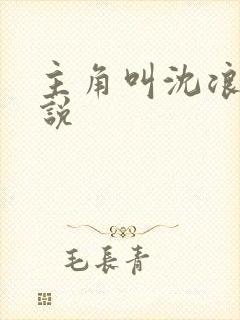 主角叫沈浪的小说