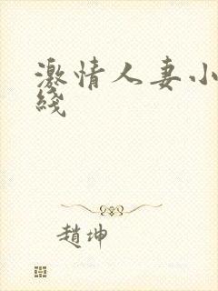 激情人妻小说在线