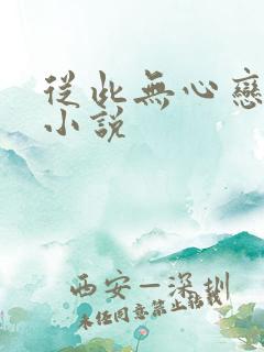 从此无心恋良夜小说