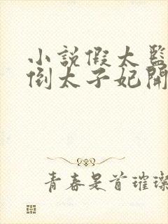 小说假太监从推倒太子妃开始李显新章节列表