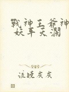 战神王爷神医妃 妖平天澜