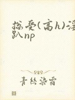 总受(高h)淫趴np