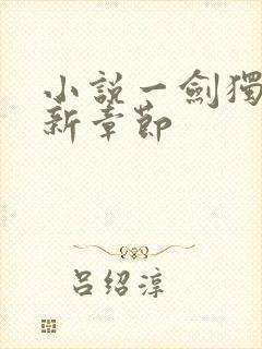 小说一剑独尊最新章节