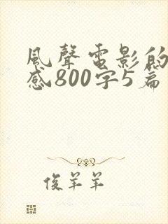 风声电影的观后感800字5篇