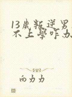 13岁叛逆男孩不上学咋办