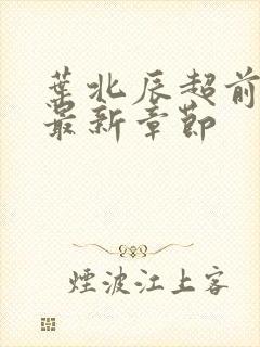 叶北辰超前更新最新章节