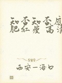 知否知否应是绿肥红瘦 高清下载