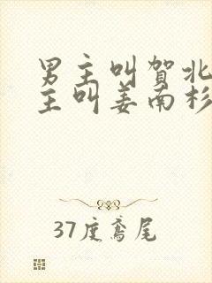 男主叫贺北峥女主叫姜南杉的小说