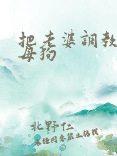 把老婆调教成骚母狗