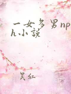 一女多男np高h小说