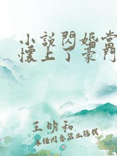 小说闪婚当天我怀上了豪门继承人