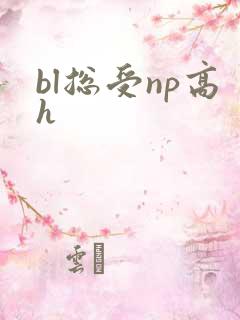 bl总受np高h