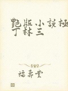 艳版小说极品家丁林三