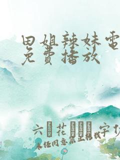 田姐辣妹电视剧免费播放