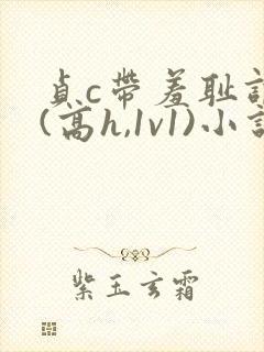 贞c带羞耻调教(高h,1v1)小说