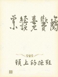 曾经喜欢你的我小说免费阅读