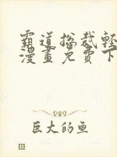 霸道总裁轻点爱漫画免费下拉式漫画