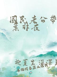 国民老公带回家 叶非夜
