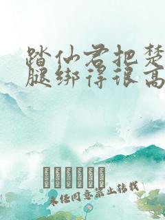 踏仙君把楚晚宁腿绑得很高难小说免