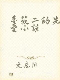 梦筱二的先婚后爱小说