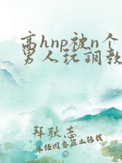 高hnp被n个男人玩调教
