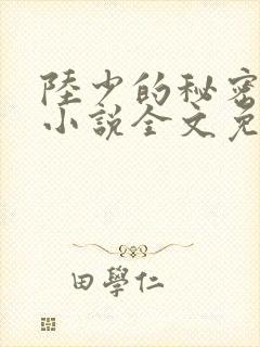 陆少的秘密恋人小说全文免费阅读