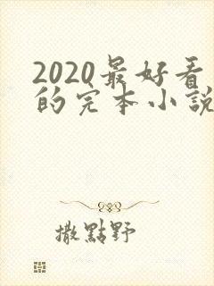 2020最好看的完本小说