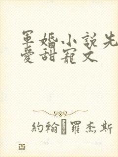 军婚小说先婚后爱甜宠文