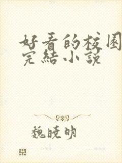 好看的校园言情完结小说