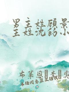 男主姓顾景琛女主姓沈的小说