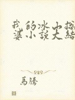 我的冰山总裁老婆小说大结局