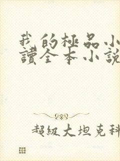 我的极品小姨阅读全本小说